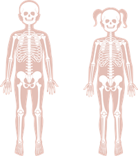 shutterstock_1710579340.png