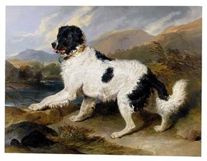 51 httpscommons.wikimedia.orgwikiFileLandseer,_Edwin_Henry_(Sir,_RA)_-_Lion-_A_Newfoundland_Dog_-_Google_Art_Project.jpg.jpg