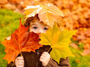 Shutterstock_1797057514_autumn_rudens.jpg