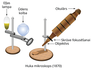 YCUZD_241123_6780_huka_mikroskops.png