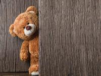 Shutterstock_492378460_teddy bear_plīša lācis.jpg