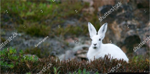 Ekrānuzņēmums 2024-10-07 002352.png