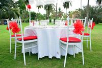 tablecloth.jpg