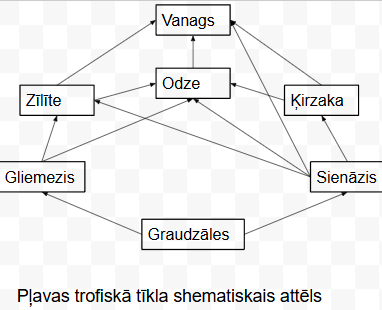 Screenshot 2025-10-26 121740.png