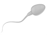Shutterstock_548167405_sperm_spermatozoīds.jpg