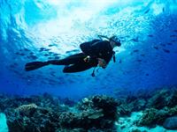 Shutterstock_654264571_diving_niršana.jpg