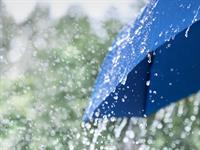 shutterstock_1453034405_rain_lietus.jpg