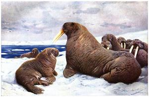175.jpg