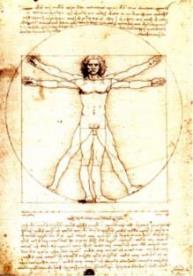 Vitruvian_man.jpg