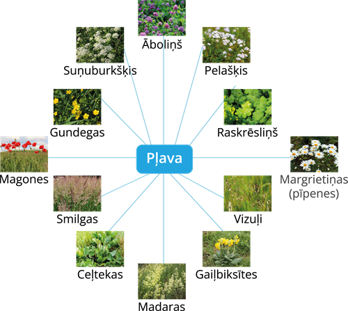 YCUZD_250724_7453_plava.png