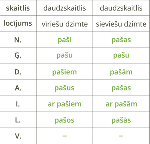 YCUZD_250410_7207_pats_dsk.png