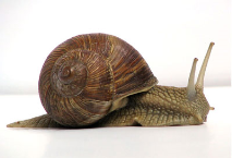 helix_Jurgen_Schoner_gnu1_s.png