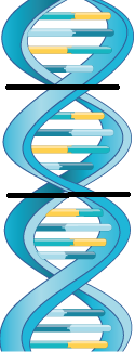 YCUZD_230929_5601_DNA_4.png