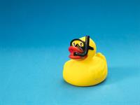 Shutterstock_707941720_toy duck_spēļu pīle.jpg