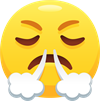 angry emoji 2.png