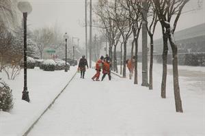 snowfall-15980_960_720.jpg