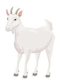 shutterstock_746130541.jpg