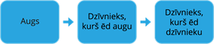 YCUZD_250731_7453_shema.png