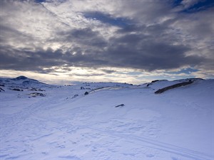 shutterstock_2479394107_snowy landscape_sniegaina ainava.jpg