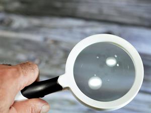 Shutterstock_2348512983_magnifying glass_palielināmais stikls.jpg