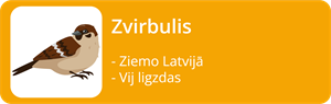 YCUZD_220708_4022_zvirbulis.png