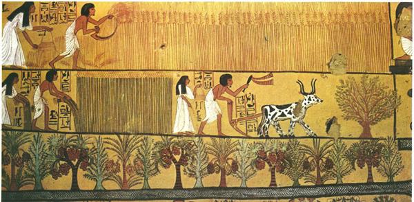 ancient-egypt-harvest1.jpg
