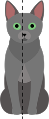 Kaķis2_2.png