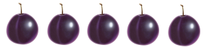 5sliv.png
