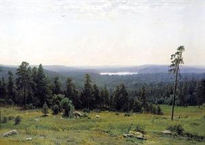 85.jpg