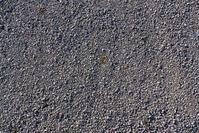 gravel-g285792cd7_1280.jpg