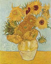 Vincent_Willem_van_Gogh_128 (1).jpg