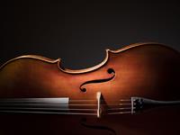 Shutterstock_318153692_cello_čells.jpg