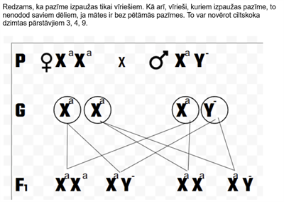 Screenshot 2026-01-28 123041.png