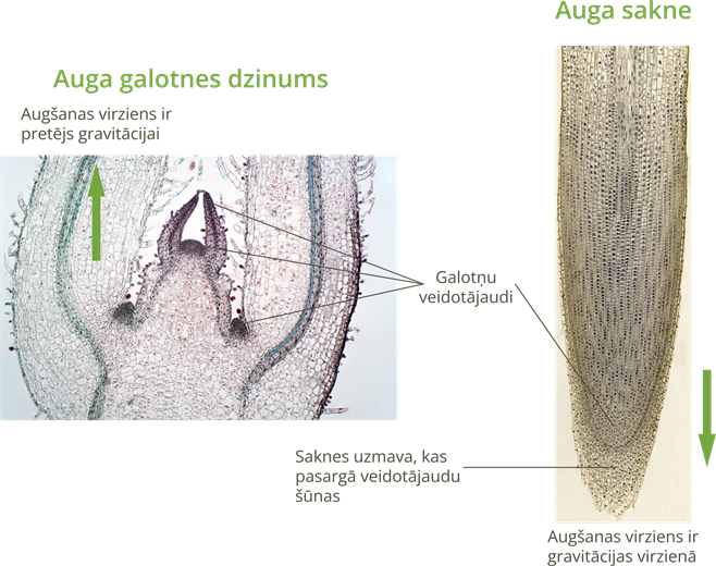 YCUZD_250323_7159_10.png
