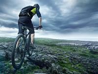 shutterstock_209561107.jpg