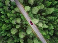 Shutterstock_1901106538_car_mašīna.jpg