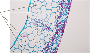YCUZD_250324_7161_13.png