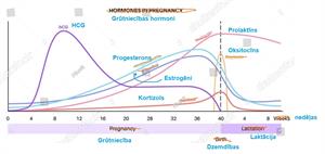 grūtniecībashormoni.JPG