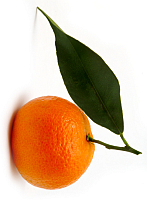 rotate_90_clockwise.png