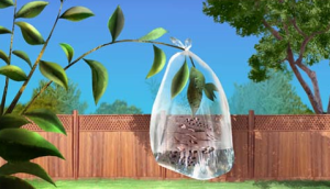 transpiration_experiment.png
