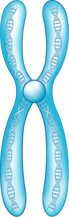 YCUZD_230929_5601_DNA_3.png