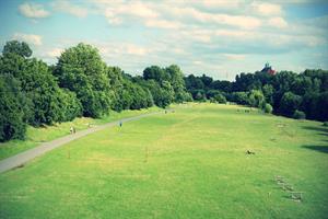 park.jpg