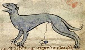 Lynxurius_in_medieval_bestiary.jpg