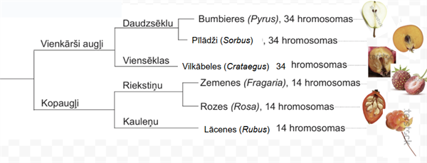 Screenshot 2025-10-22 191511.png