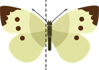 Taurenis_2.png