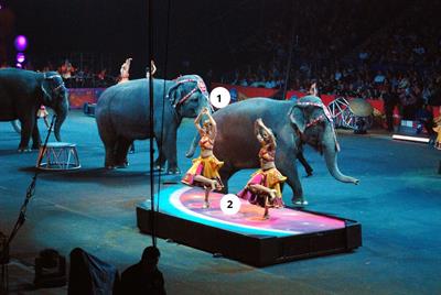 circus5_1.jpg