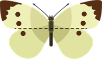 Taurenis_3.png