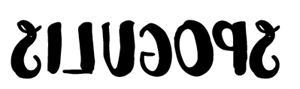spogulis2.png