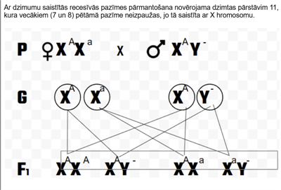 Screenshot 2026-01-28 123036.png