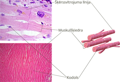 YCUZD_250422_7160_12.png